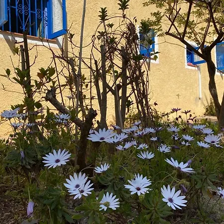 Cortijo Con Encanto