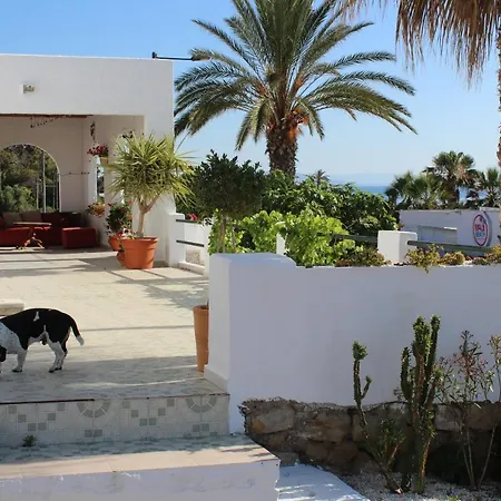 Guest house Casaflor *