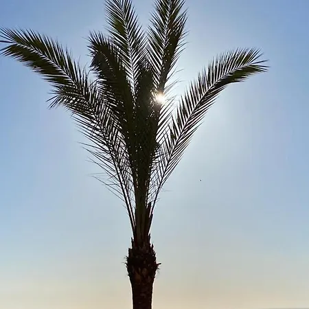 Marina Vistamar * Mojacar