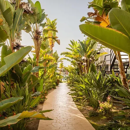 Alegria Palacio Adults Only 4*