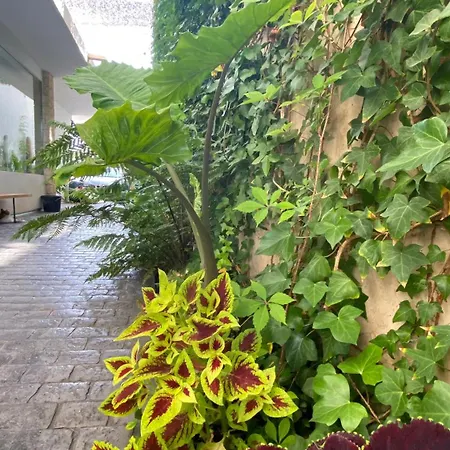 Apartamento La Parata *