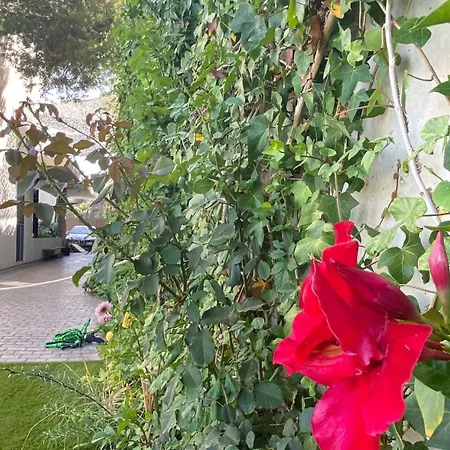 Apartamento La Parata