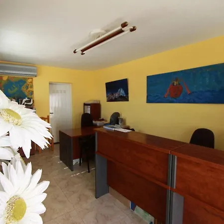 El Gran González Viviendas Con Fines Turísticos Apartamento *