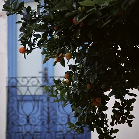 Casa Agustin - Authentic House In The Historical Center Of Pueblo Holiday home Mojacar