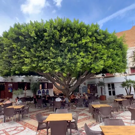 Dreaming With Art Mojacar