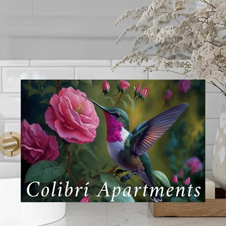 Apartment Colibri Vista Mar