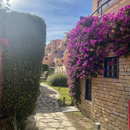 Colibri Vista Mar