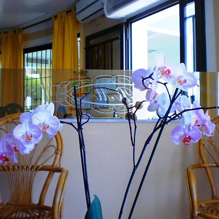 Rancho Del Mar Hotel