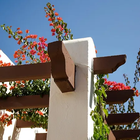 Marazul