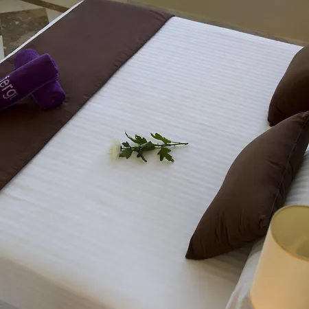 Hotel Alegria Palacio Adults Only 4*