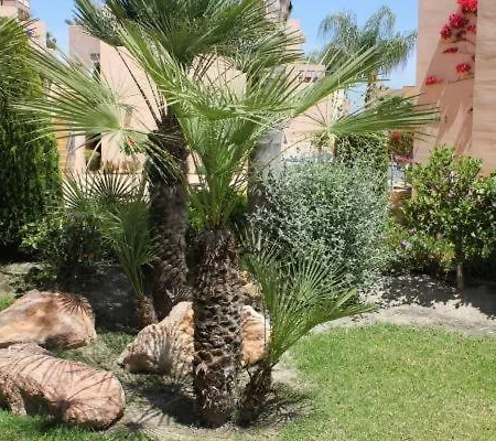Atalaya Graceful *